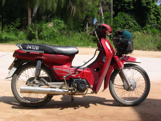 Photograph