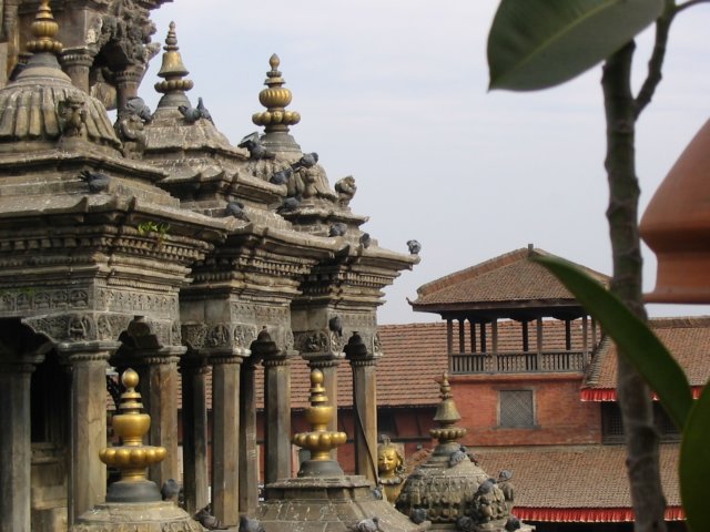 Photograph